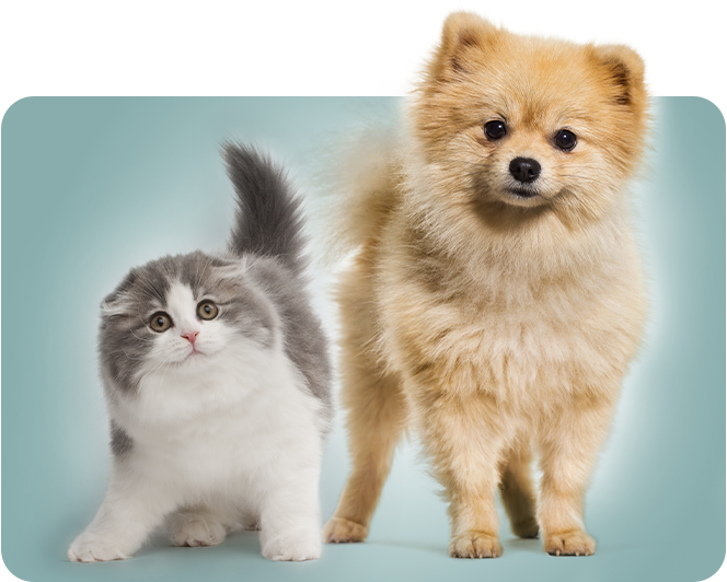 Зоотовары оптом Зоотовары оптом