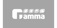 Gamma Gamma