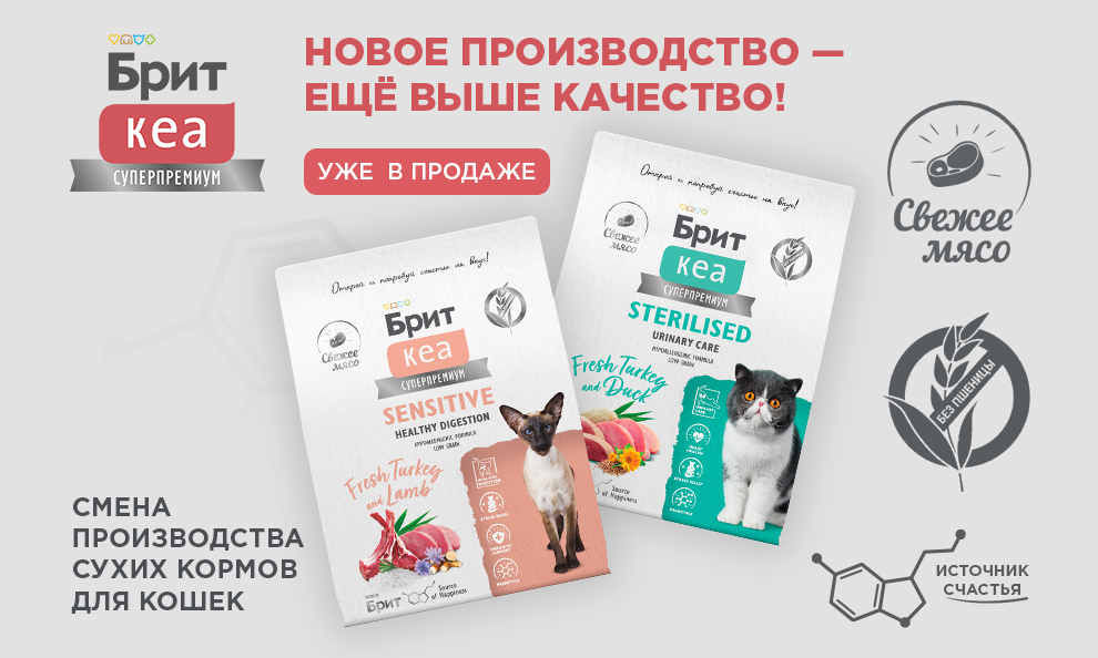 Новое производство Брит Кеа🏔 Новое производство Брит Кеа🏔
