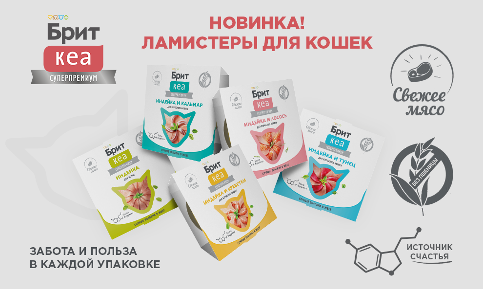 Ламистеры Брит Кеа✨ Ламистеры Брит Кеа✨