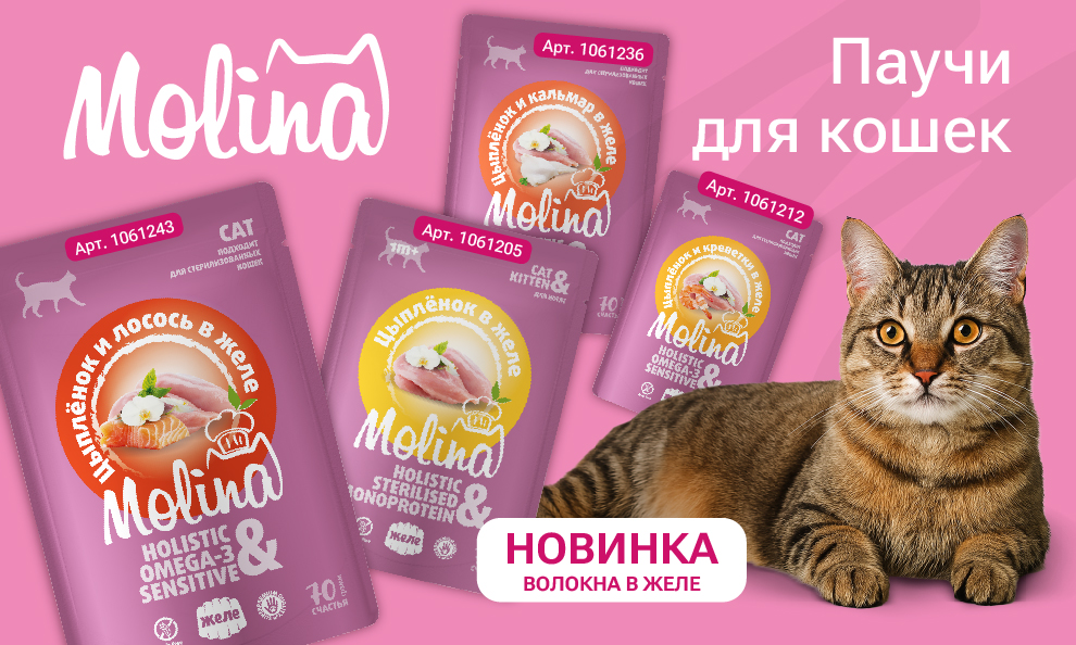 Паучи Molina💗 Паучи Molina💗