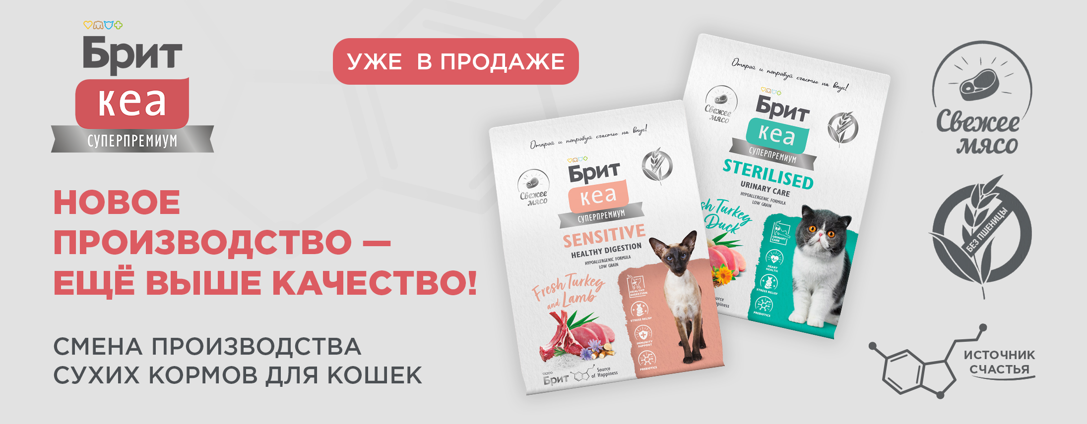 Слайд 7 Слайд 7