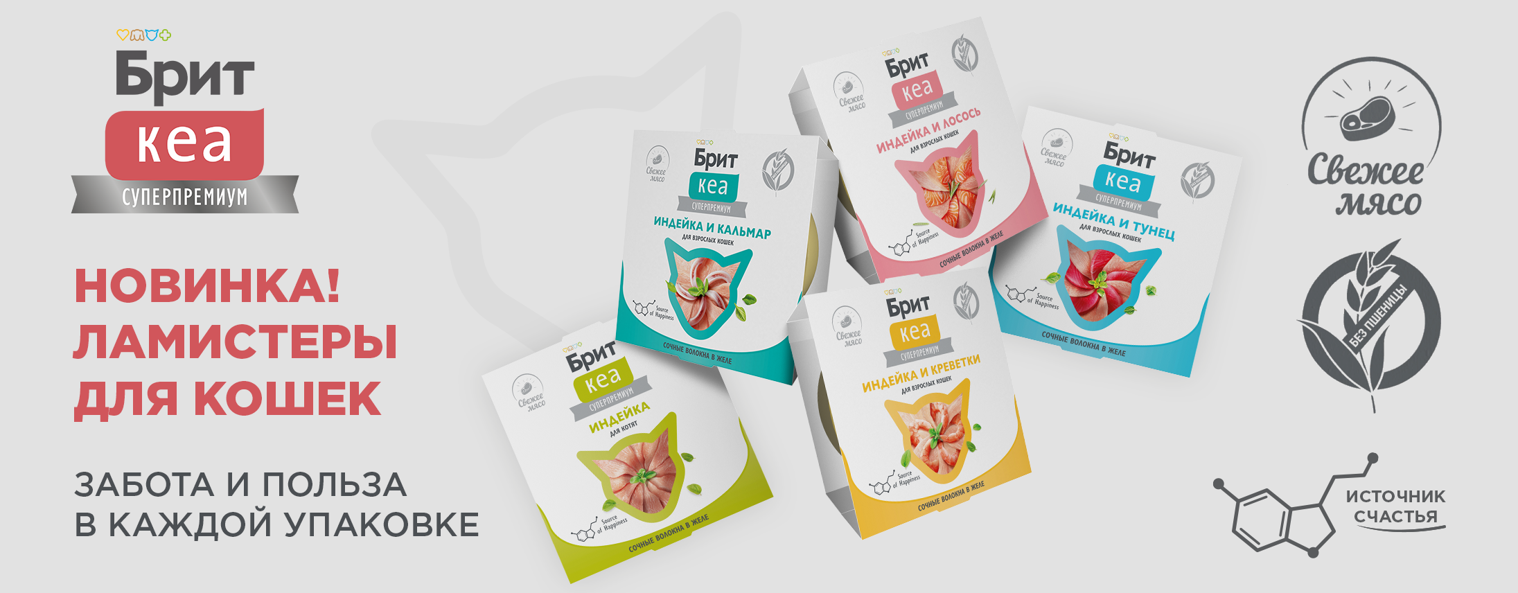 Слайд 10 Слайд 10