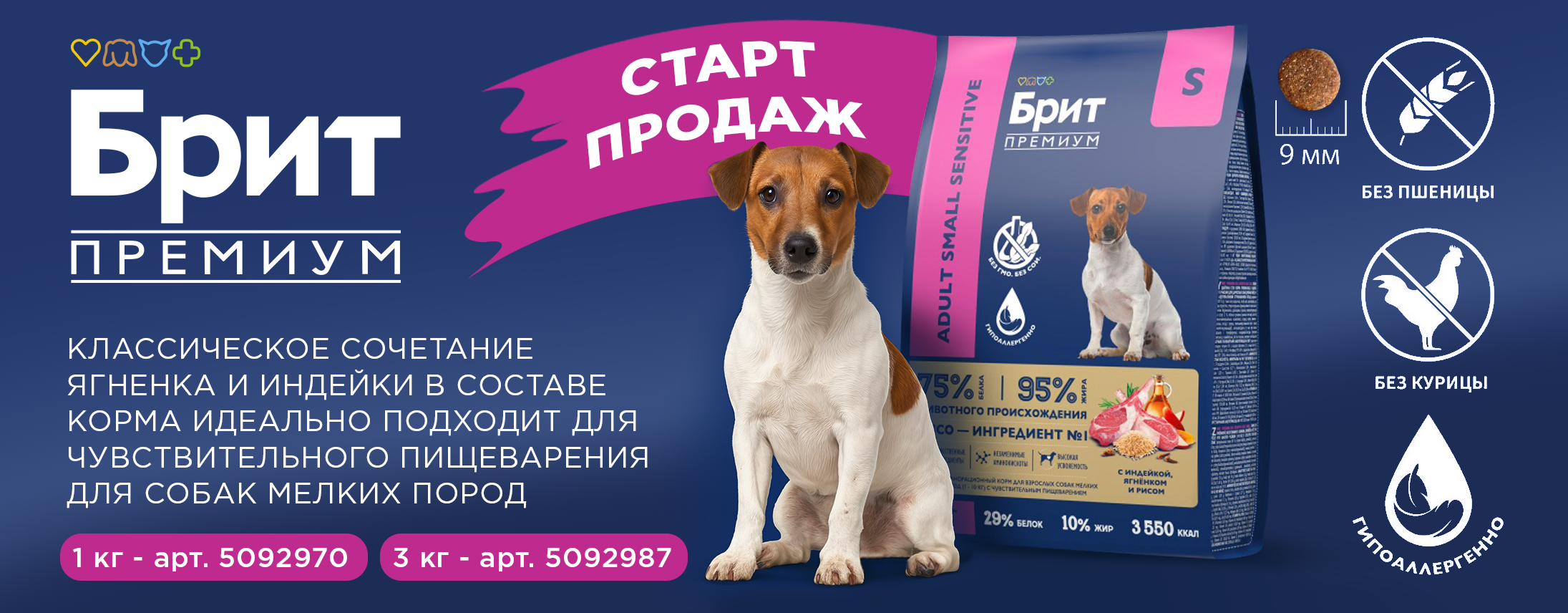 Слайд 12 Слайд 12