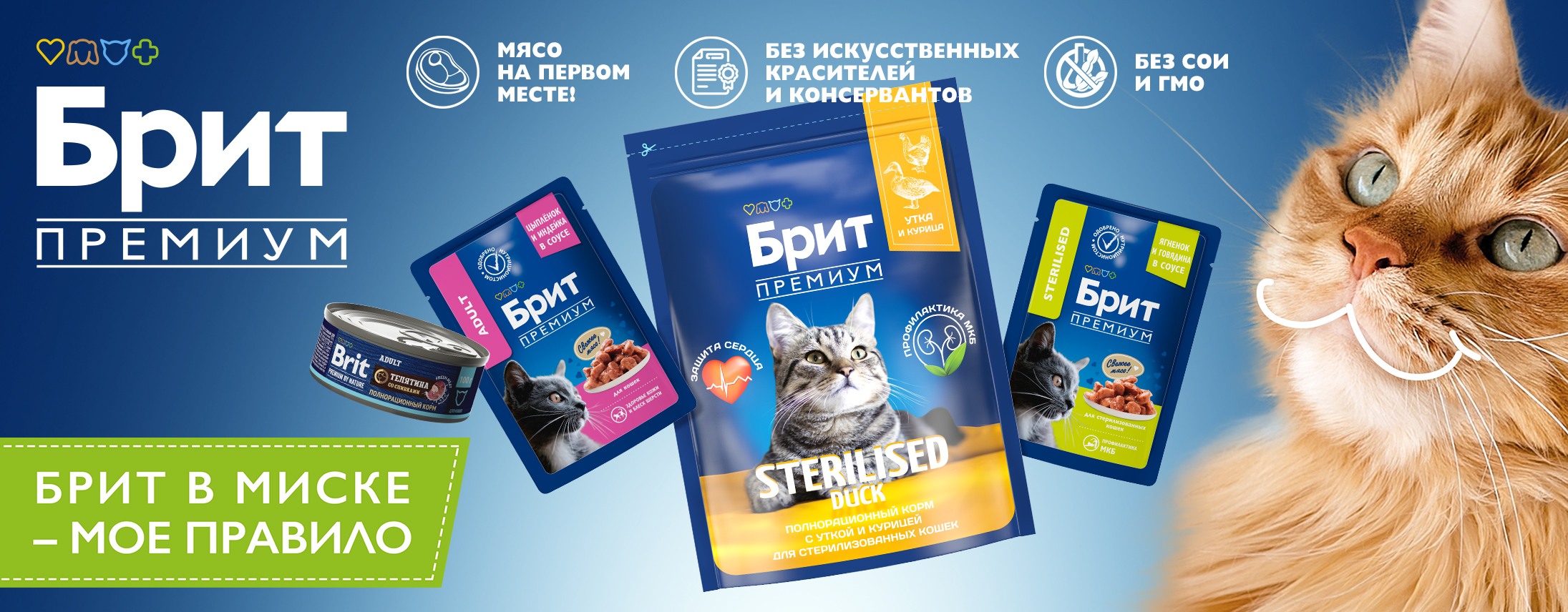 Слайд 15 Слайд 15