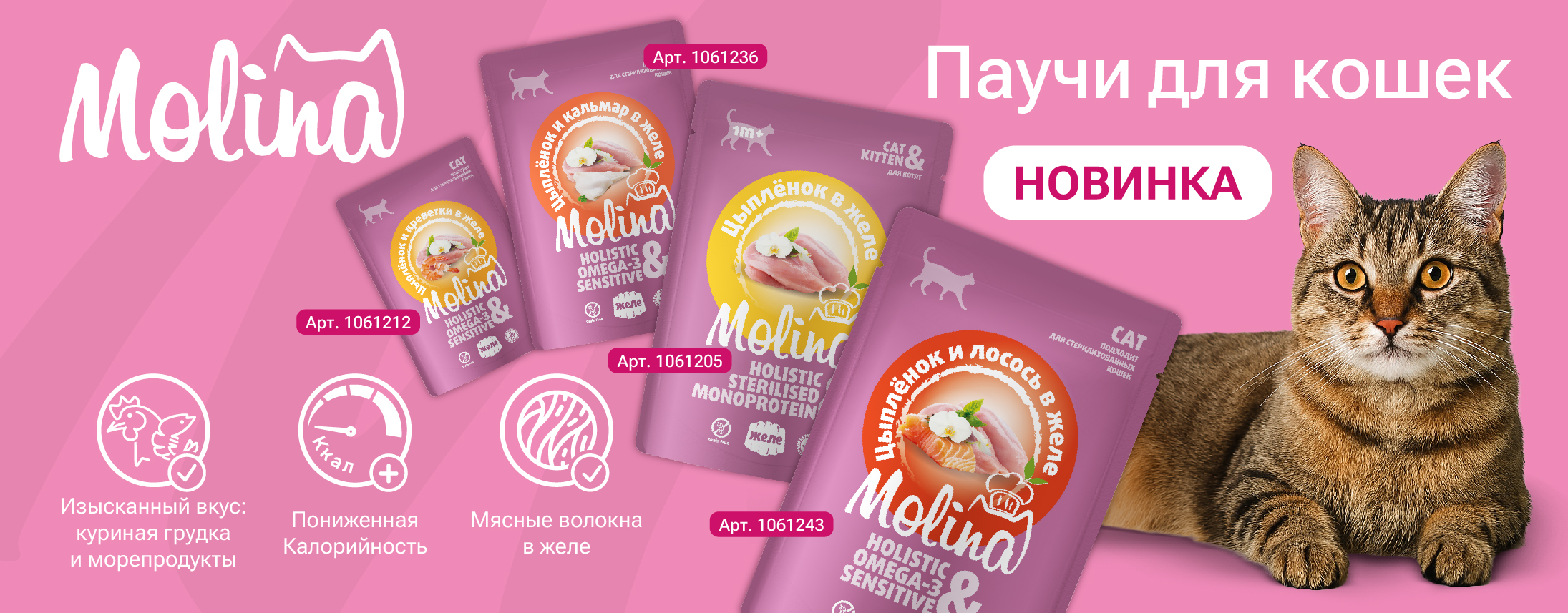 Слайд 6 Слайд 6