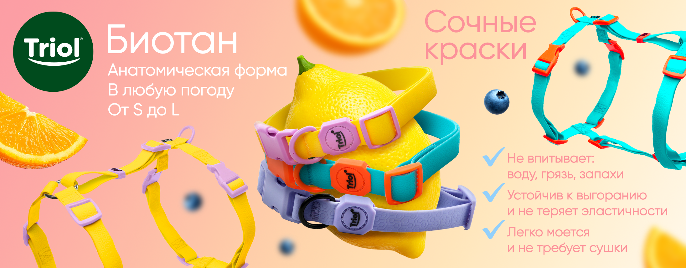 Слайд 11 Слайд 11