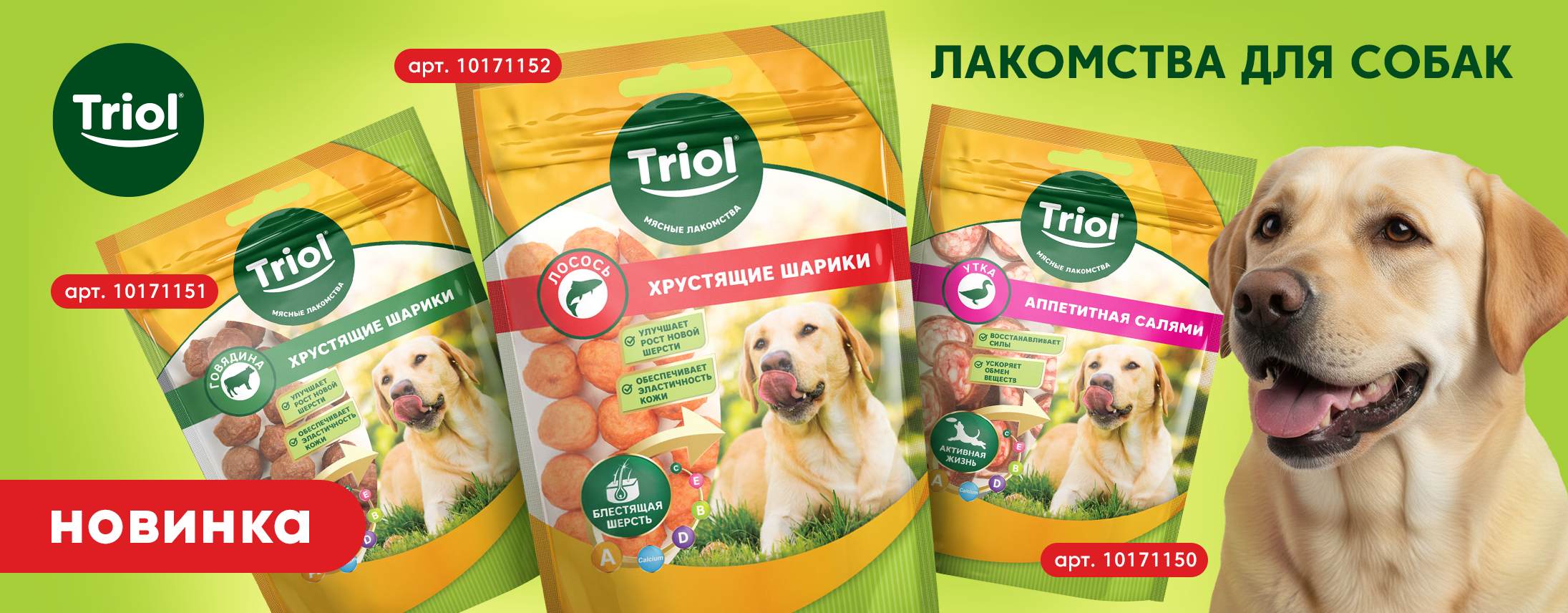 Слайд 3 Слайд 3